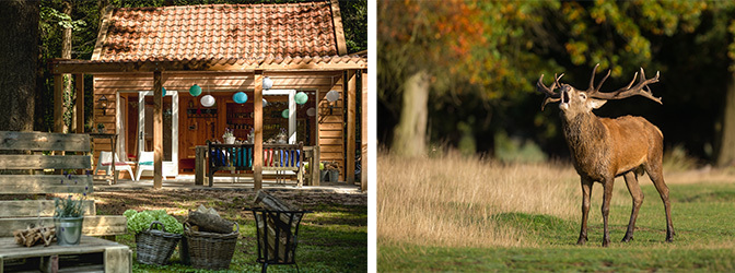 672 x 250 Fletcher Hotel-Restaurant Mooi Veluwe