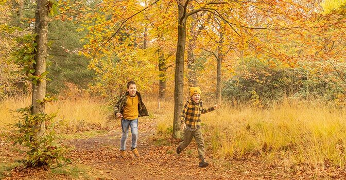 Herfstvakantie 2025: de leukste activiteiten op een rij