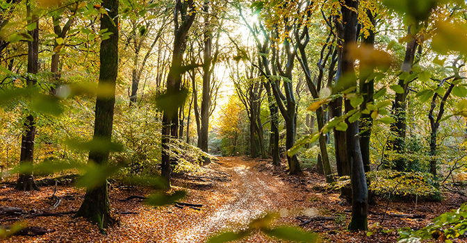 De leukste wandelroutes met kinderen